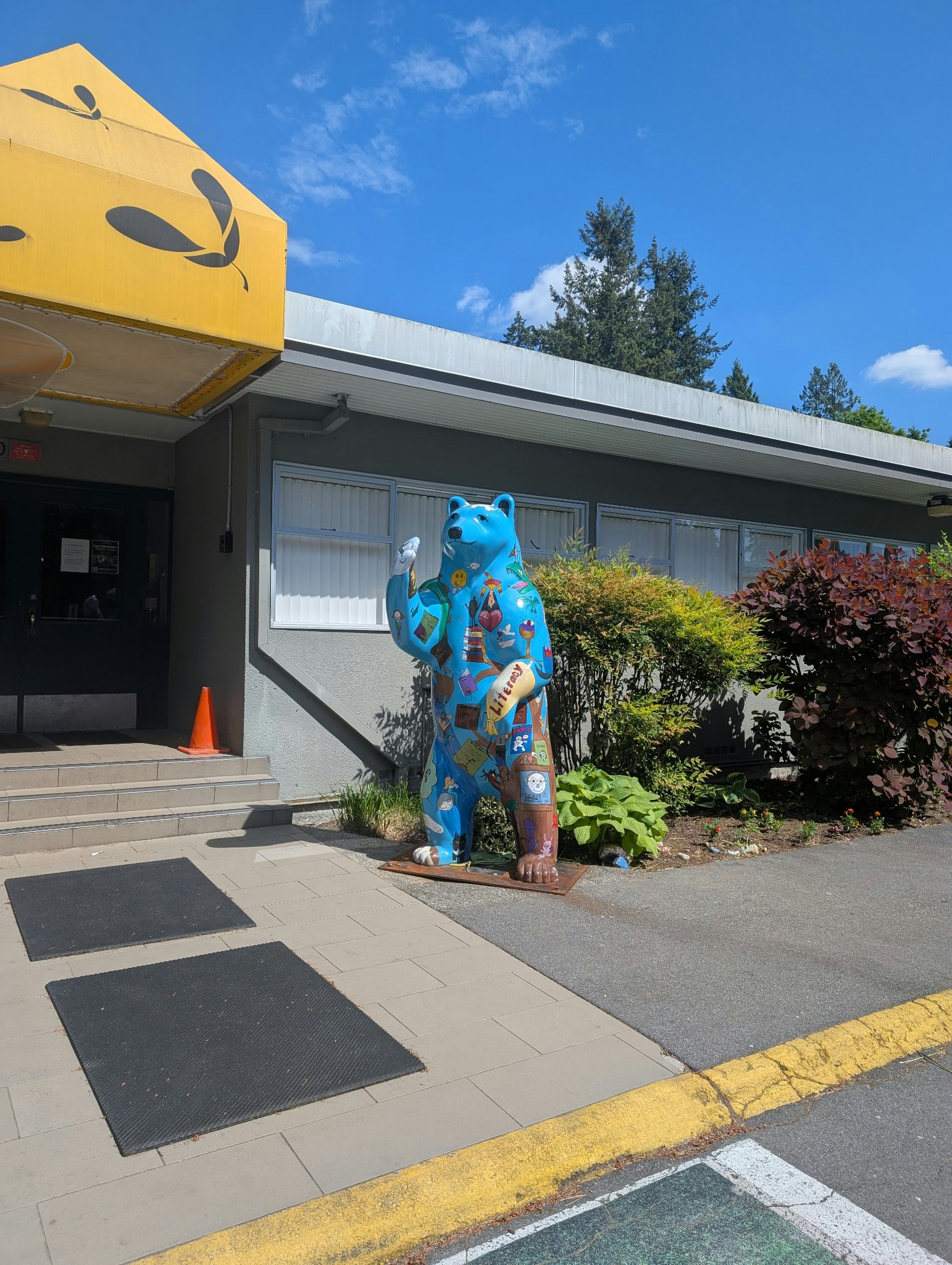 Bear in District of North Vancouver, photographed May 17, 2026