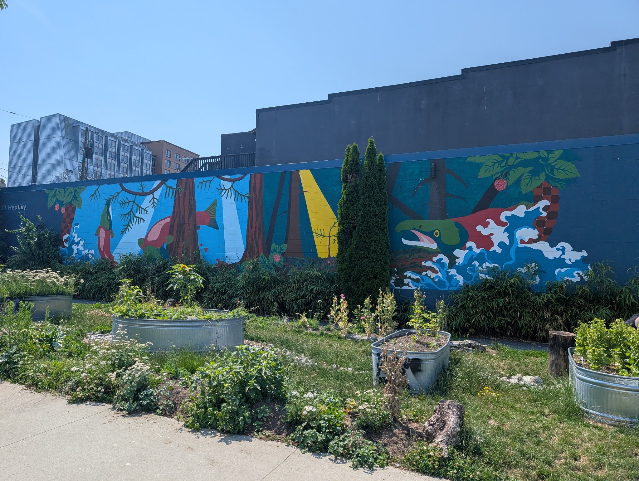Untitled in Vancouver, photographed July 5, 2026