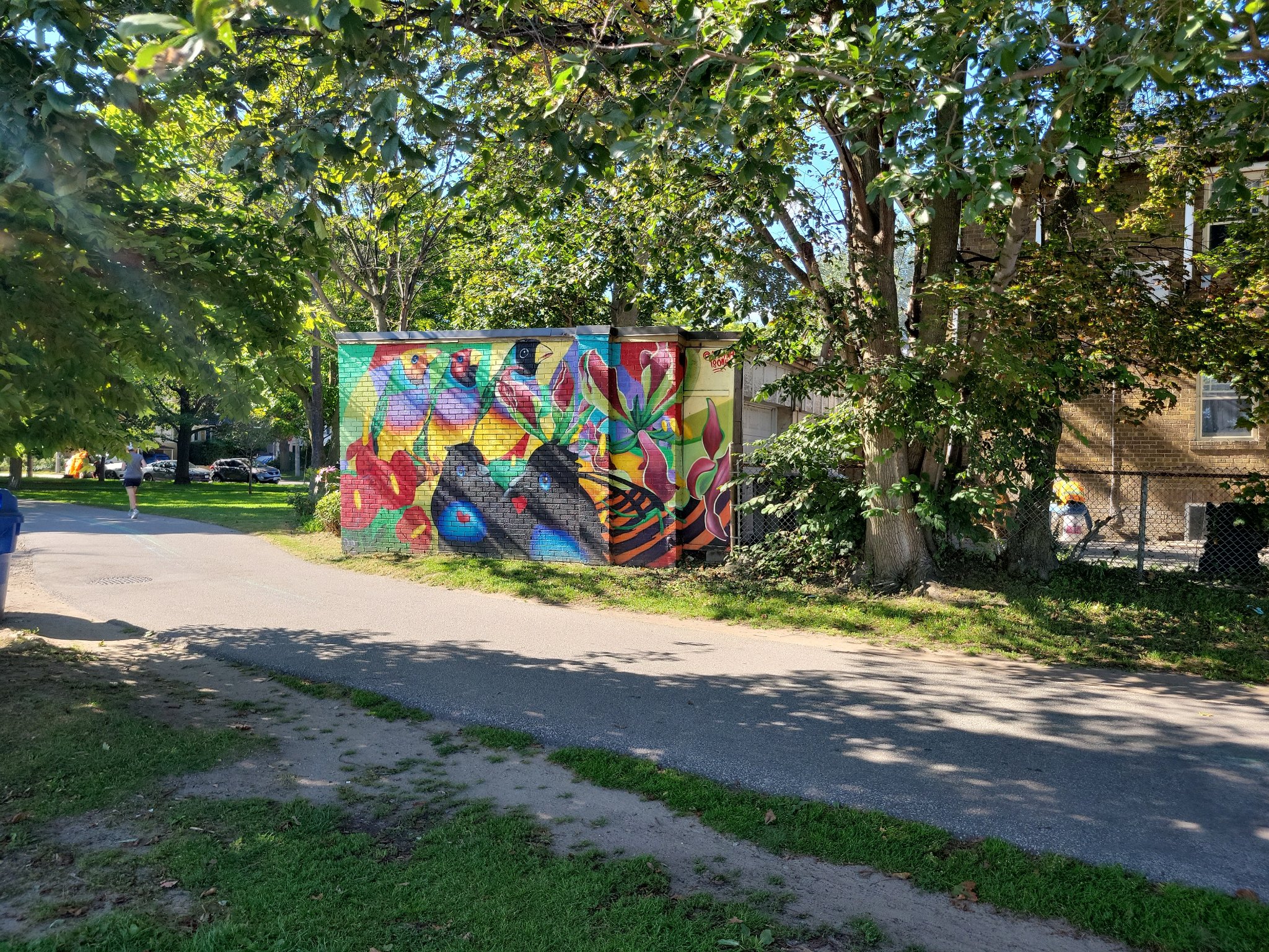 Untitled in Toronto, photographed August 28, 2026