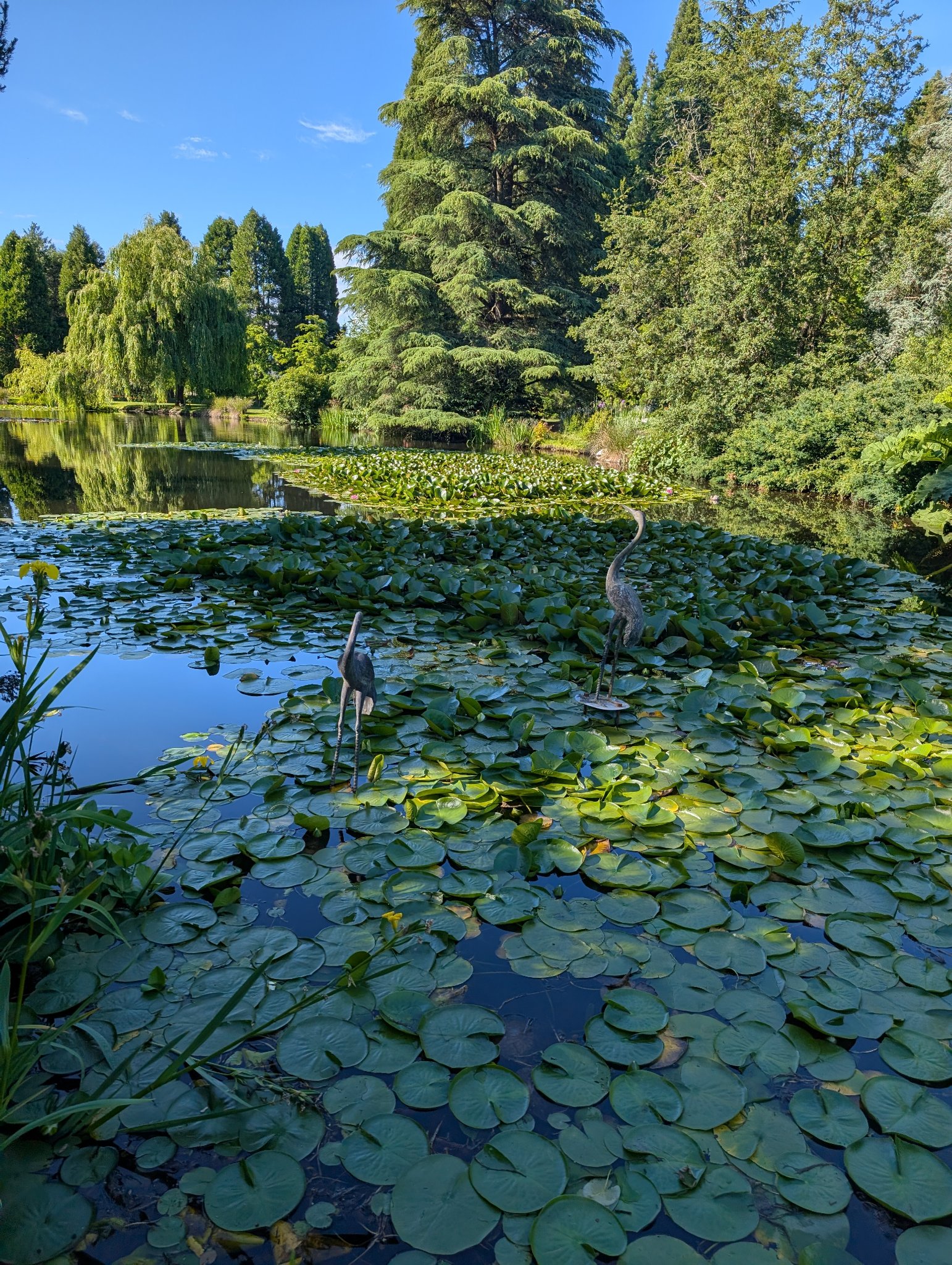 Untitled in Vancouver, photographed June 12, 2026