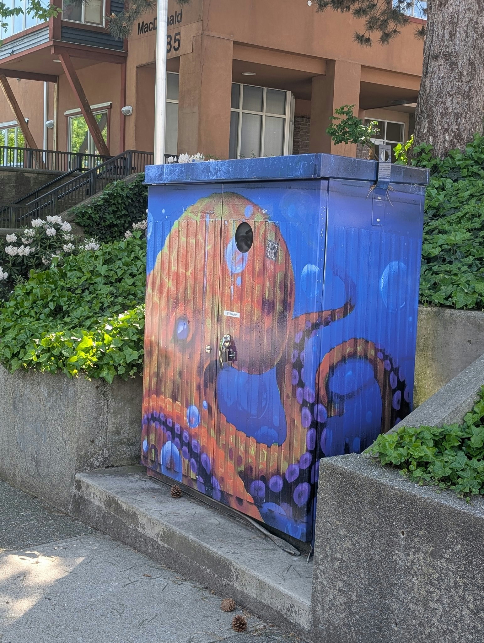 Octopus mural in Burnaby, photographed May 17, 2026