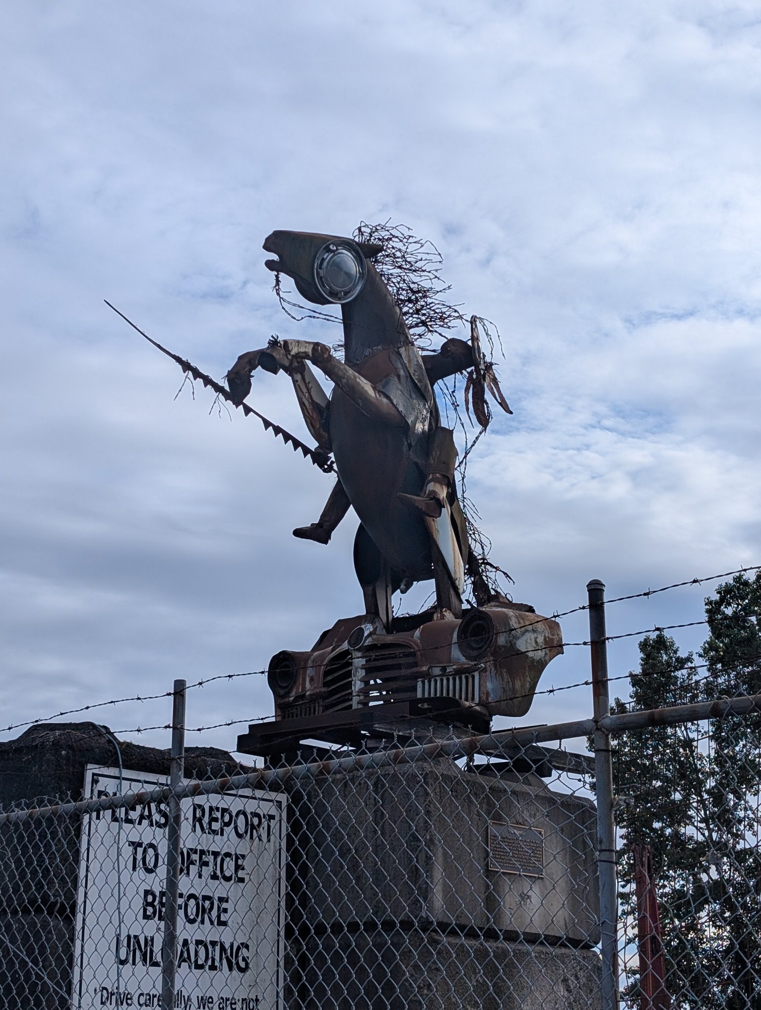 Knight in Vancouver, photographed May 27, 2026