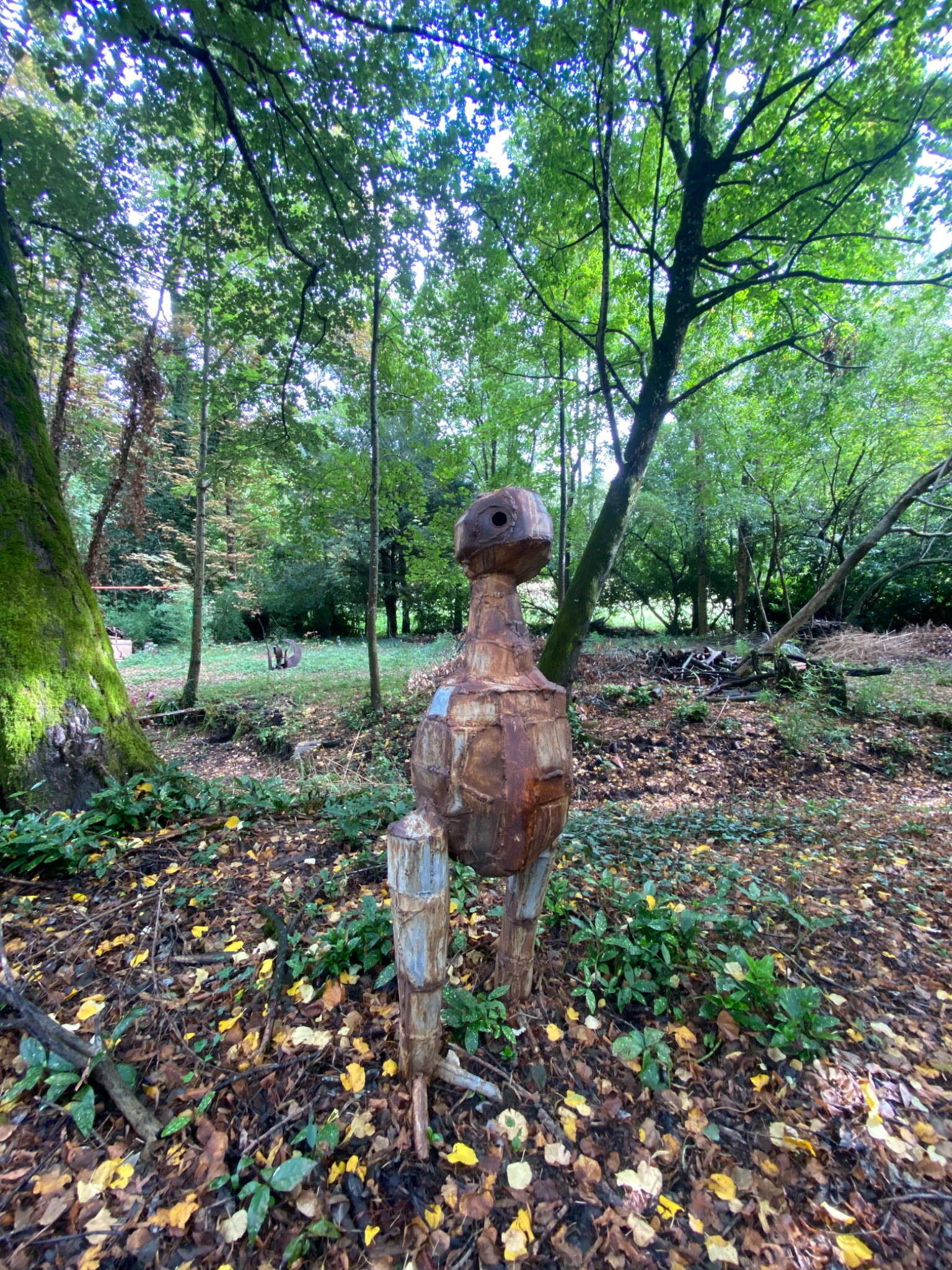 Zoë by David Vanorbeek in Vancouver, photographed October 11, 2026