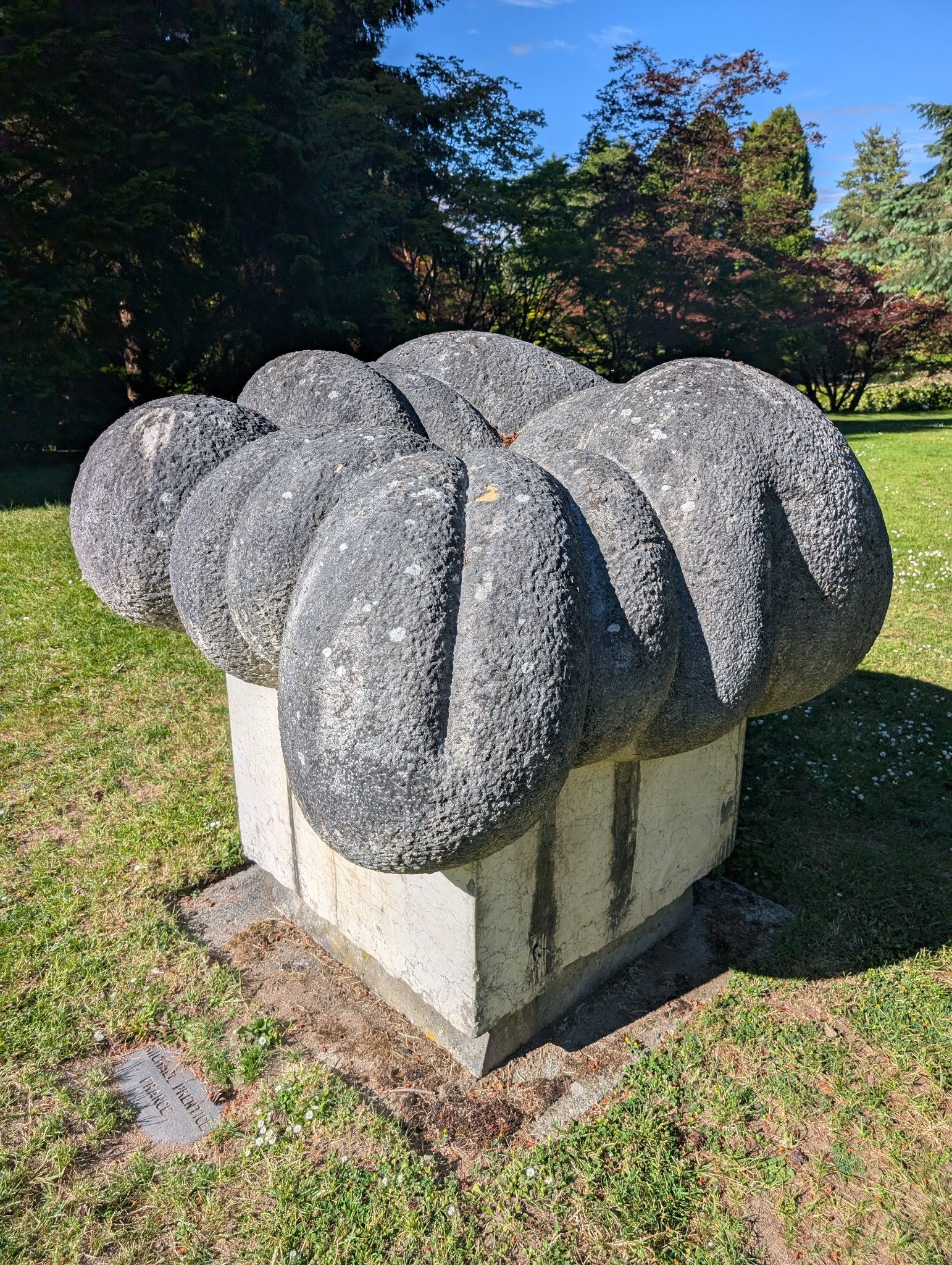 Developing Form by Michael Prentice in Vancouver, photographed June 12, 2026