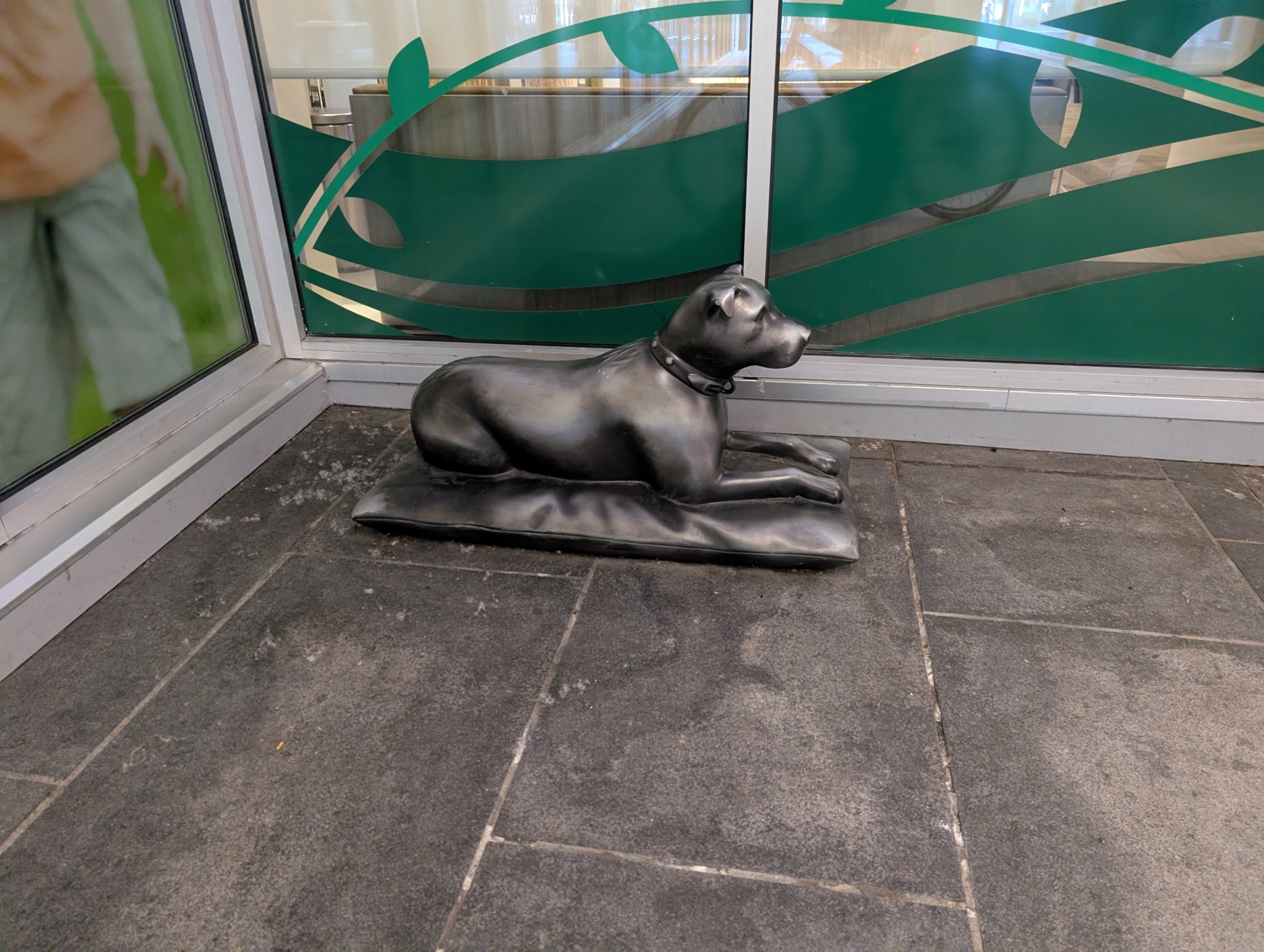 Dog in Burnaby, photographed May 20, 2026