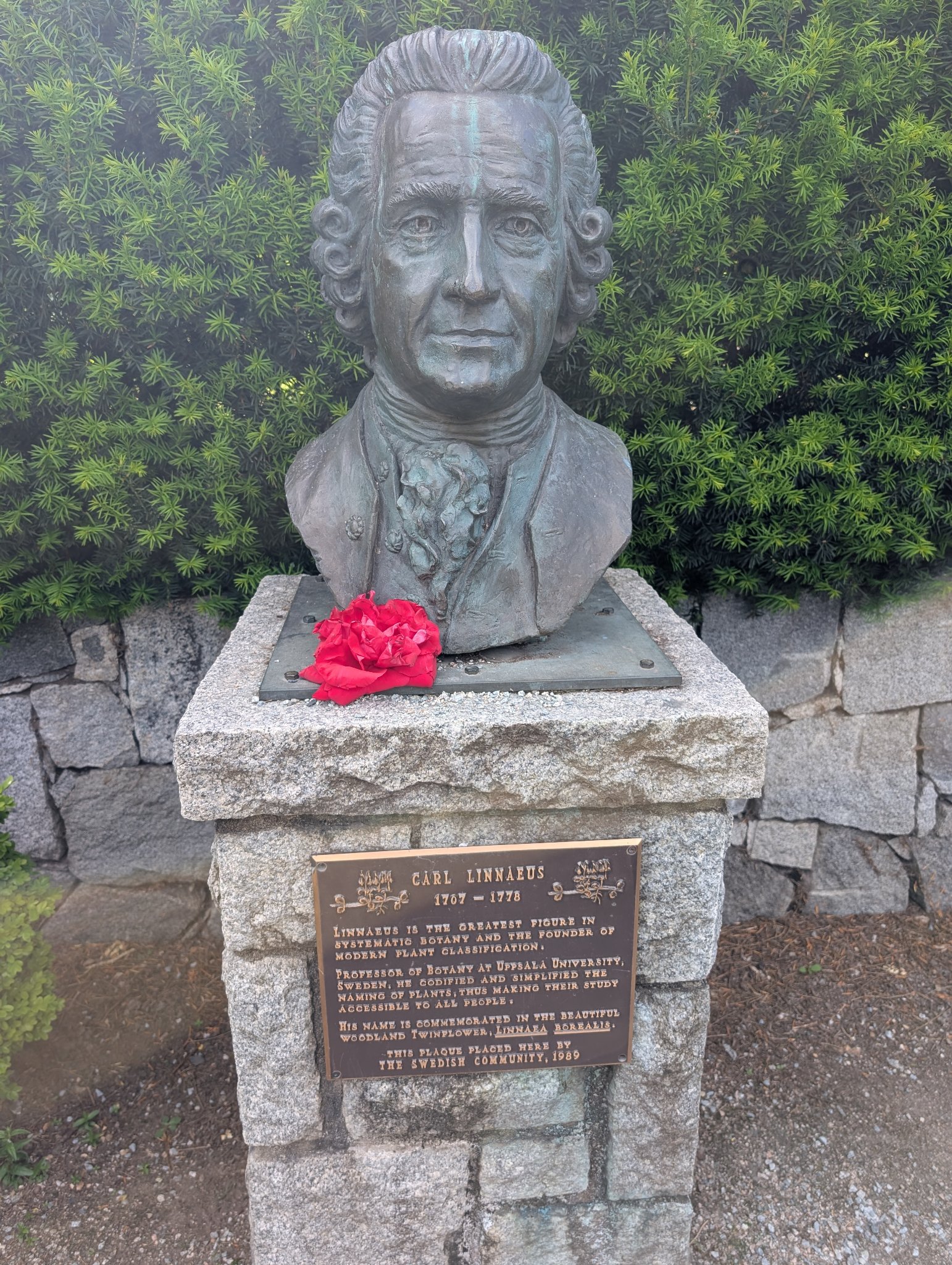 CARL LINNAEUS in Vancouver, photographed May 30, 2026