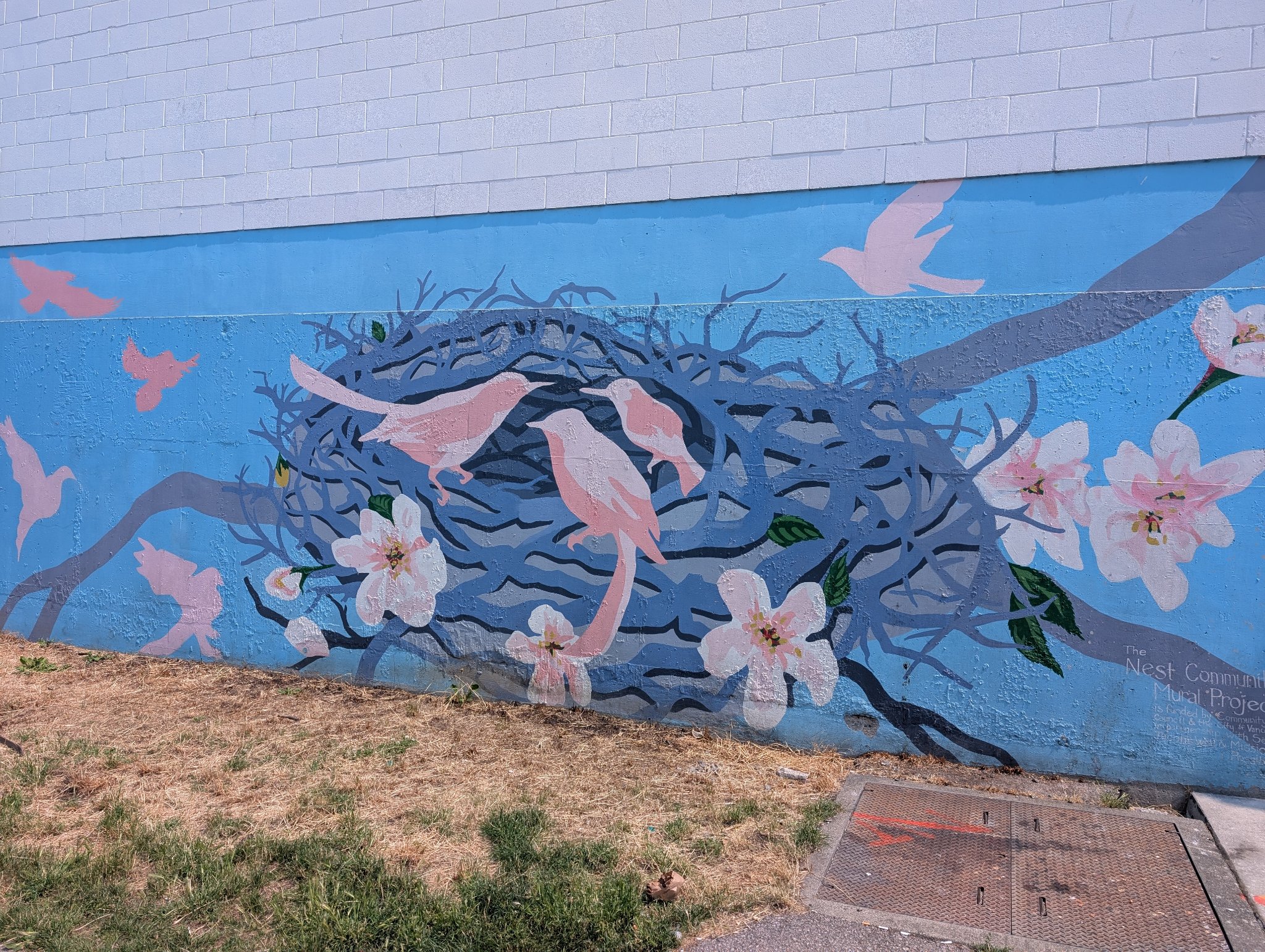 The nest community mural project in Vancouver, photographed July 5, 2026