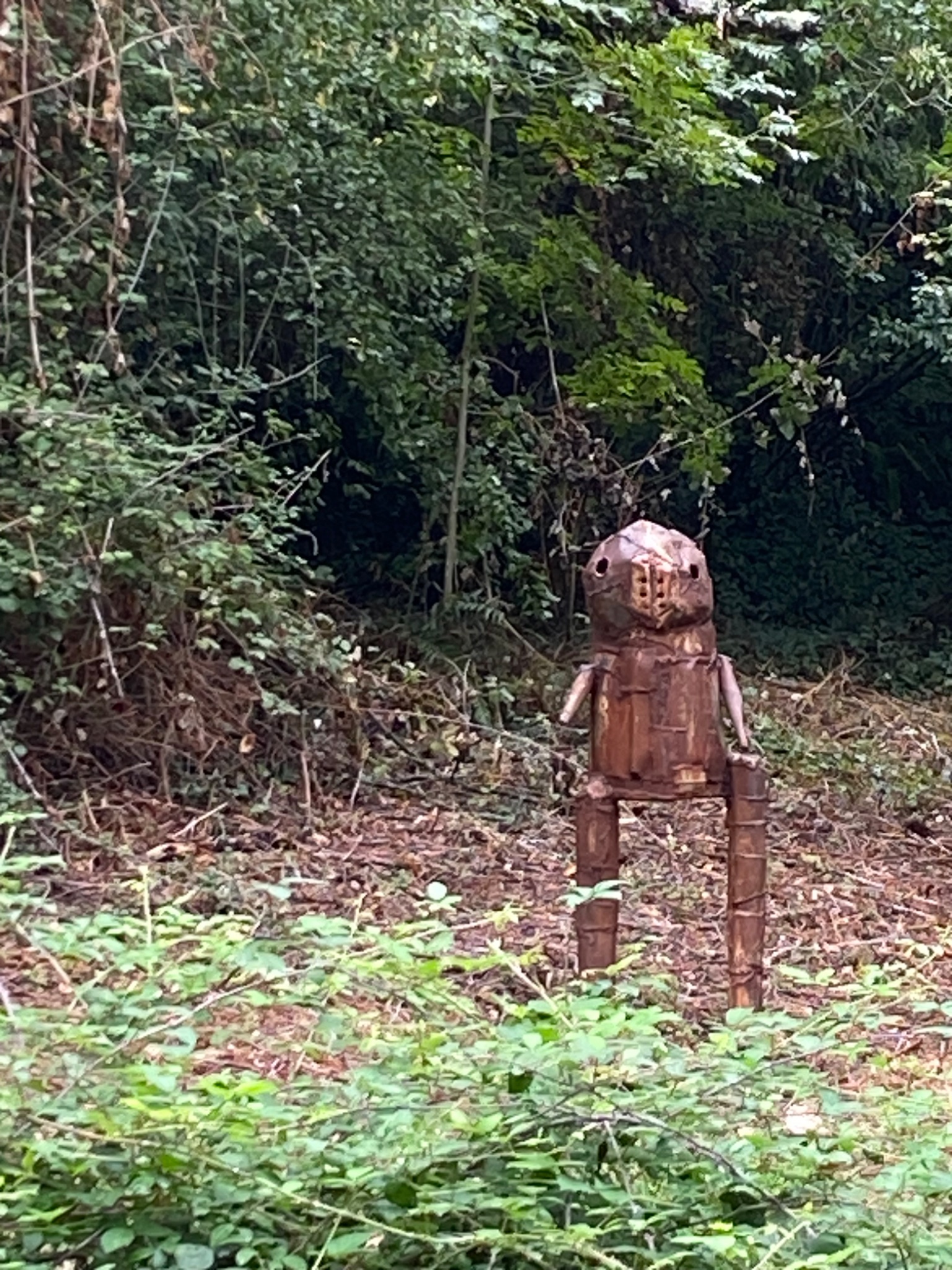 Arthur by David Vanorbeek in Labastide Rouairoux, photographed October 11, 2026