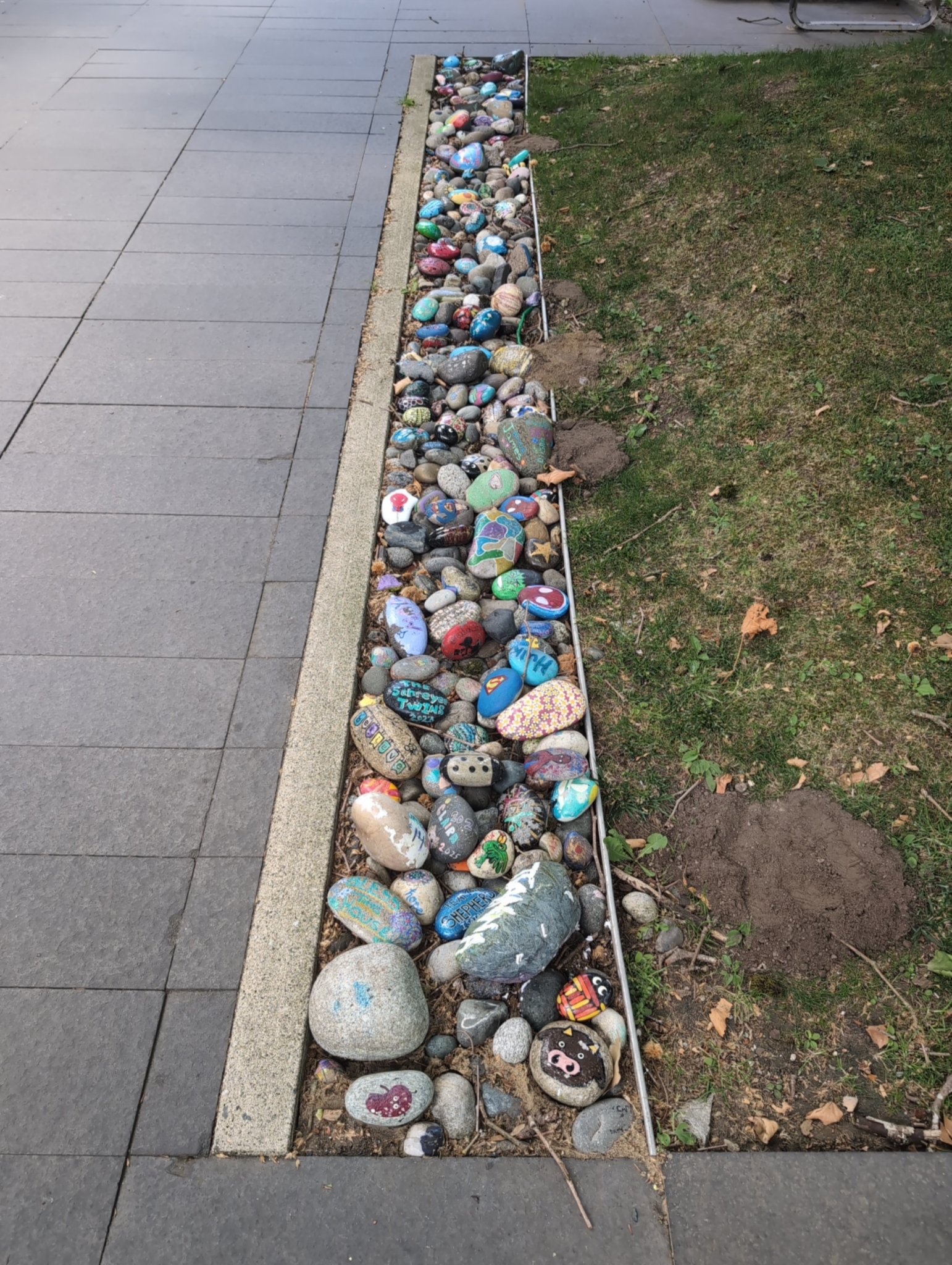 Painted rocks in Vancouver, photographed July 11, 2026