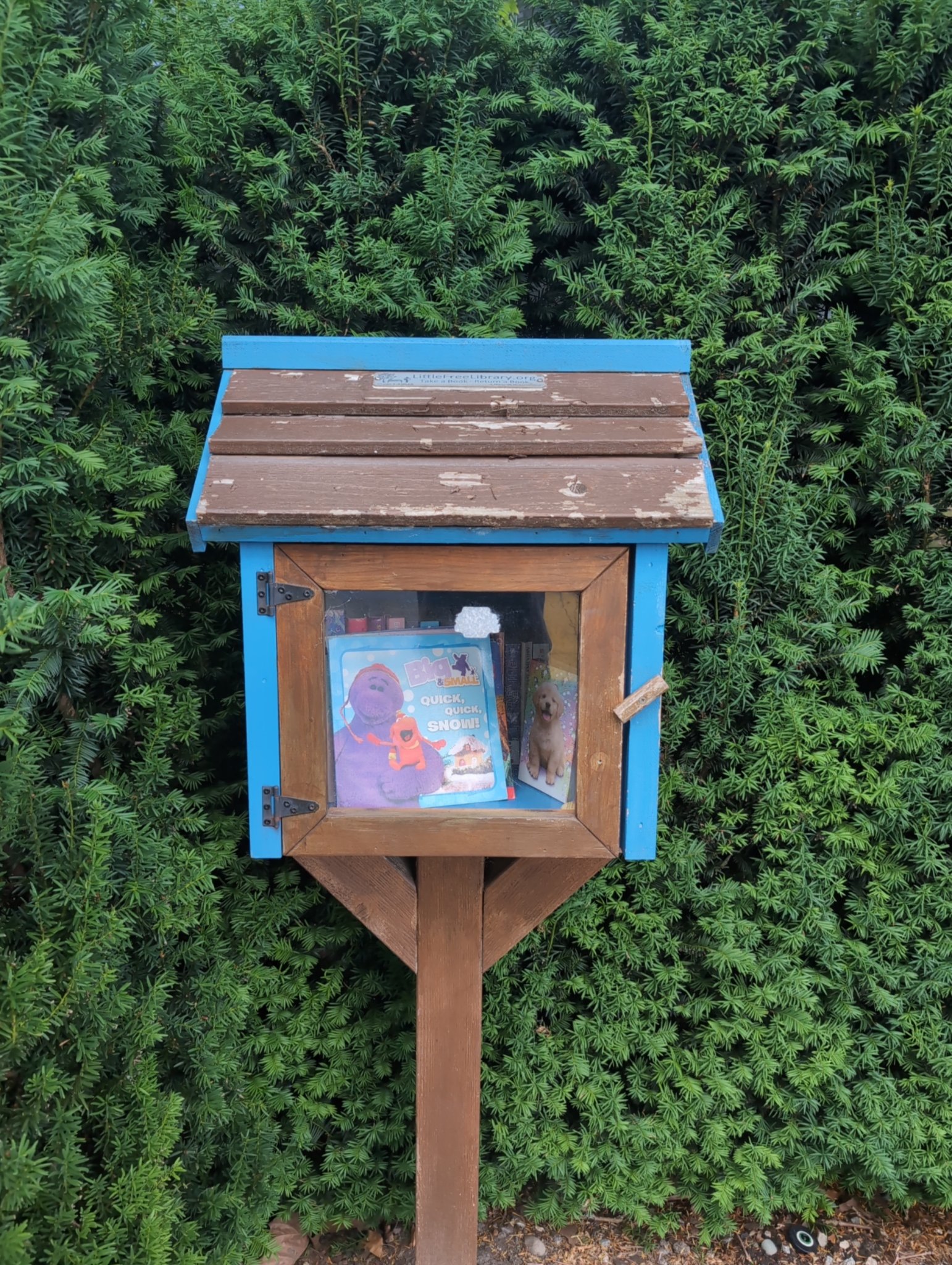 Untitled in Vancouver, photographed July 11, 2026