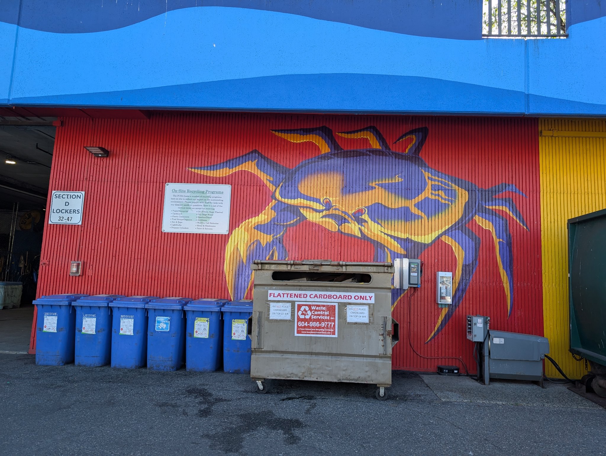 Untitled in Vancouver, photographed June 1, 2026