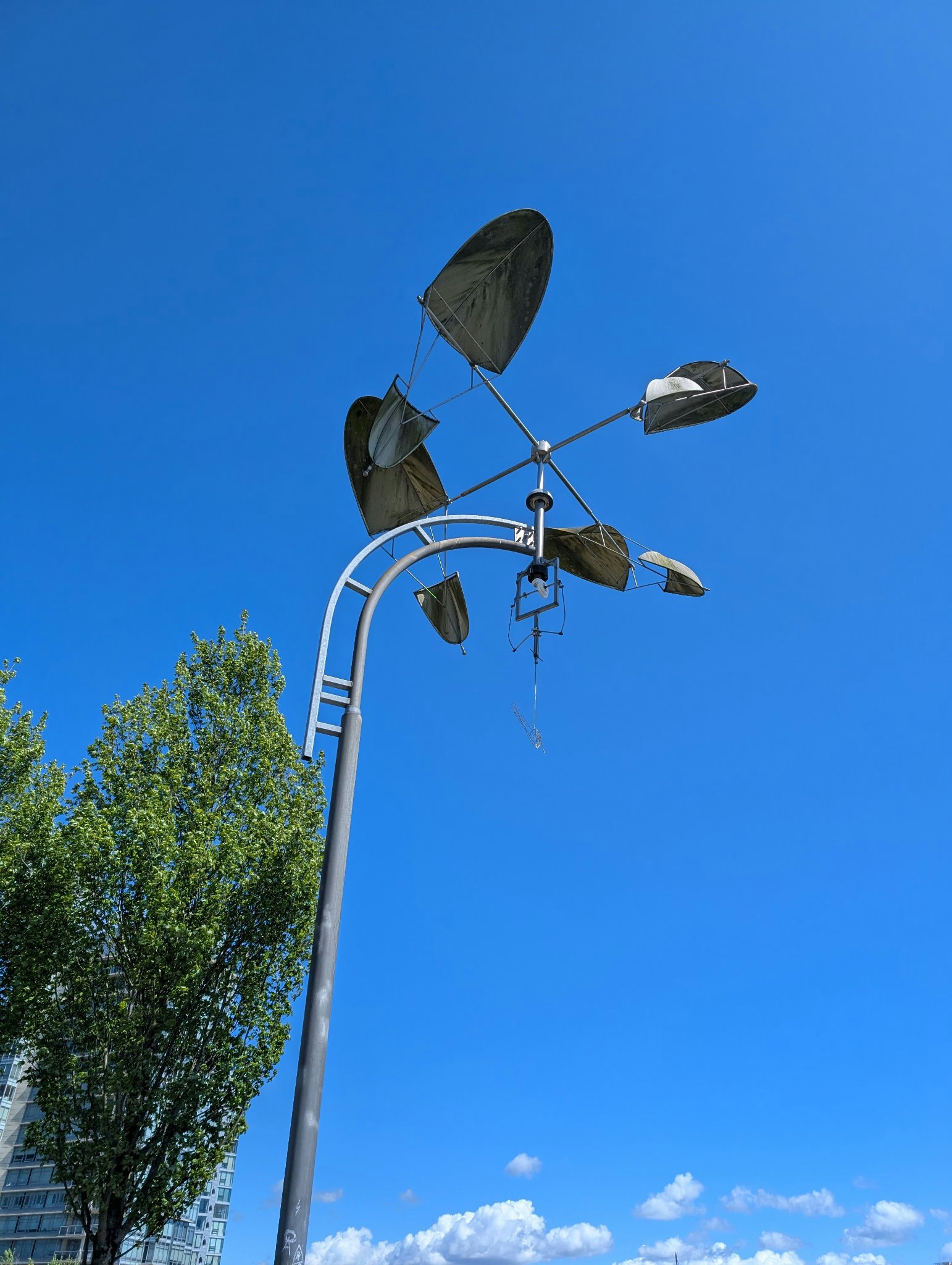 Khenko by Doug Taylor in Vancouver, photographed May 17, 2026