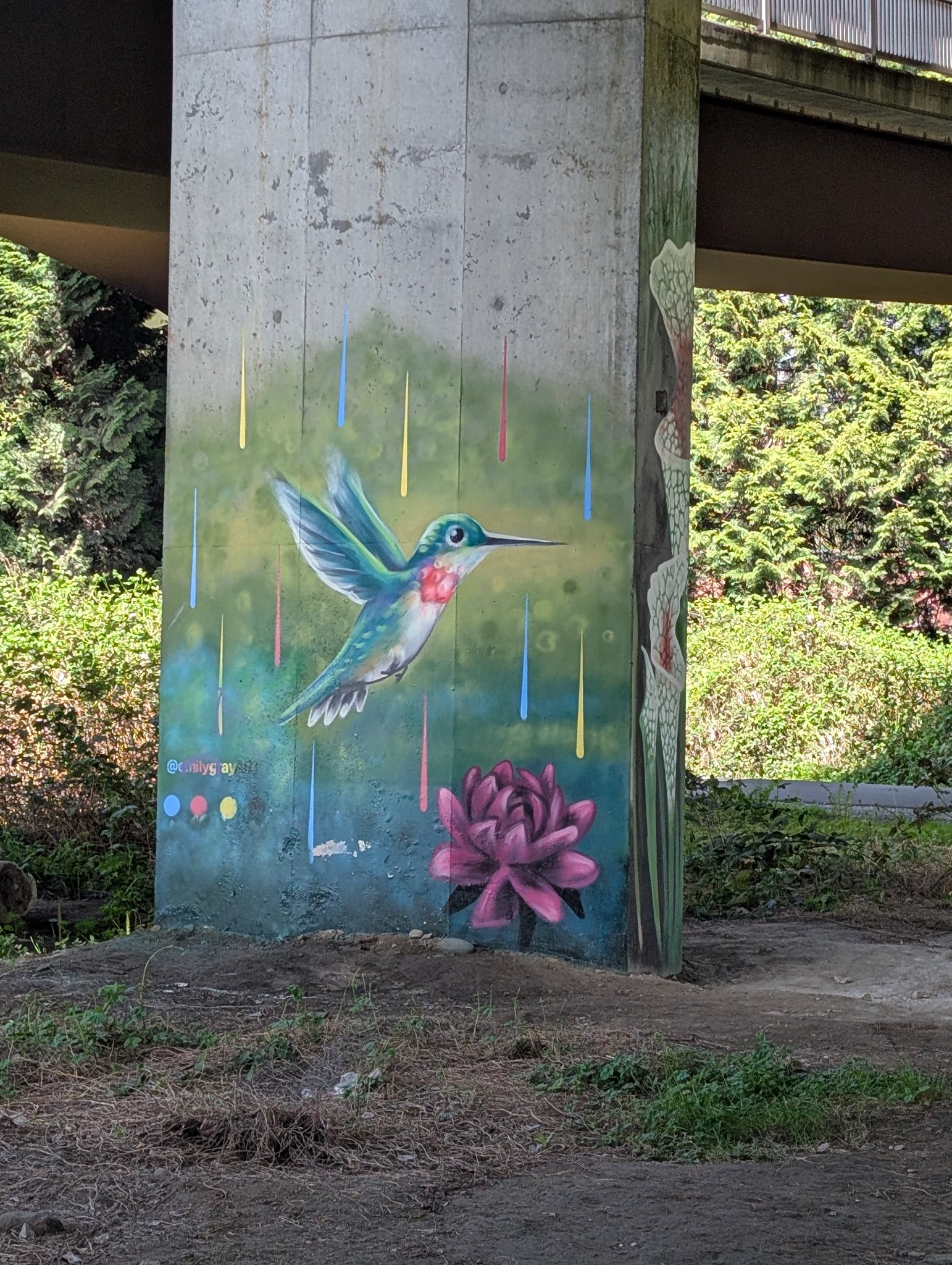 Untitled in Burnaby, photographed May 30, 2026