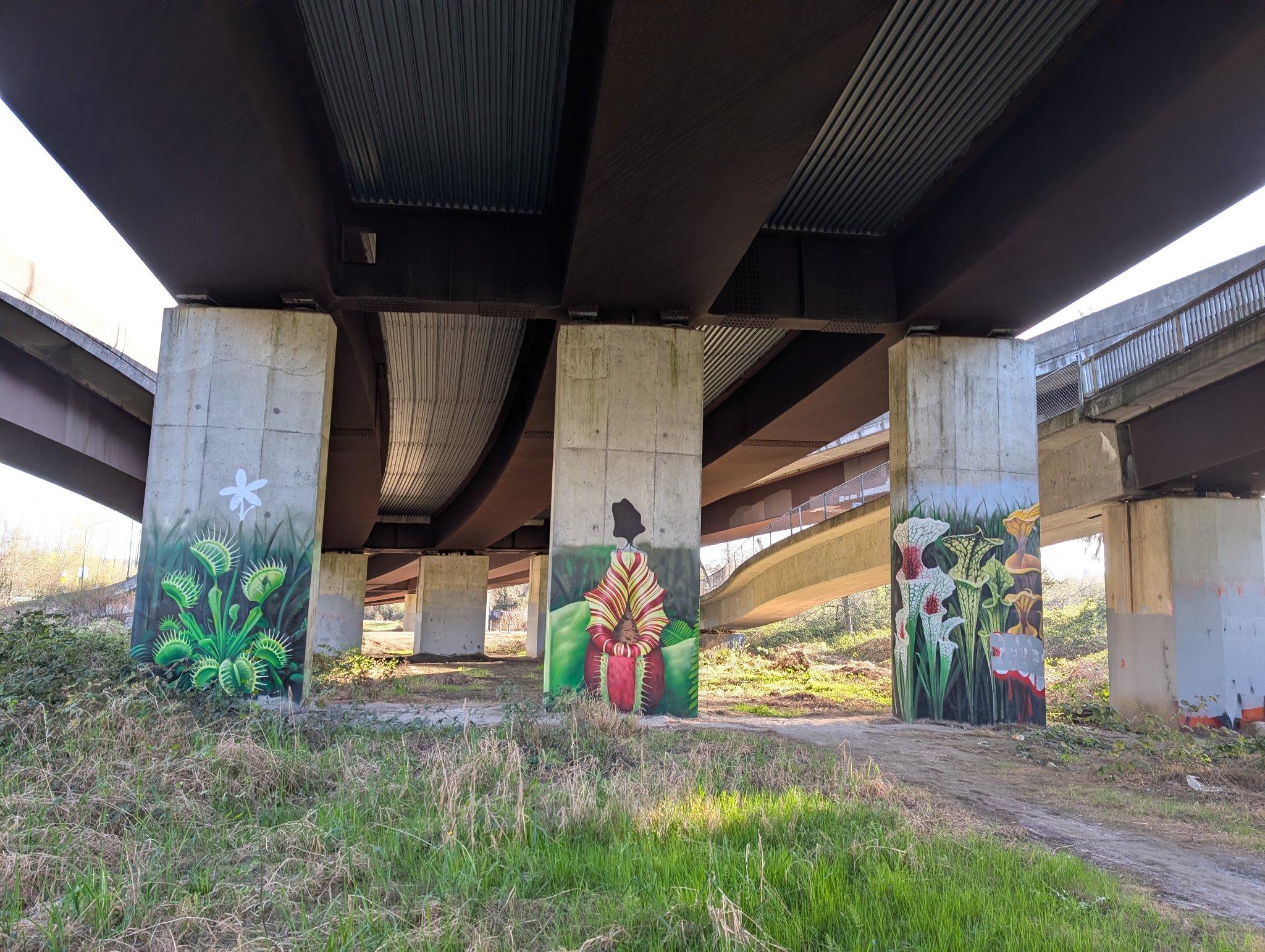 Flower mural in Burnaby, photographed May 30, 2026