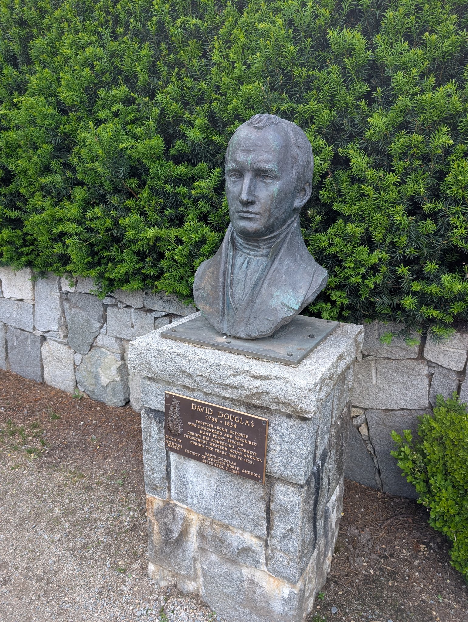 DAVID DOUGLAS by Jack Harman in Vancouver, photographed May 30, 2026