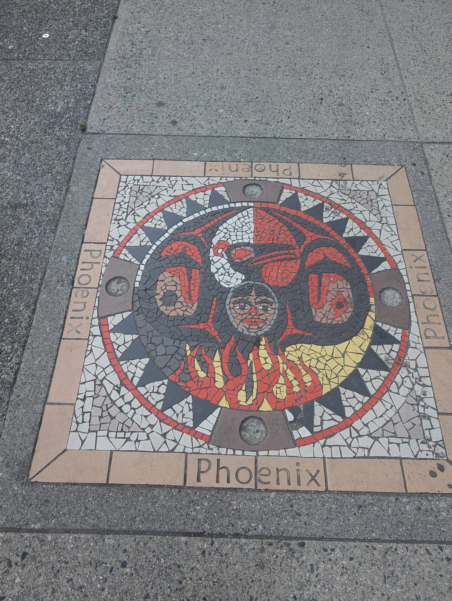 Phoenix in Vancouver, photographed June 14, 2026