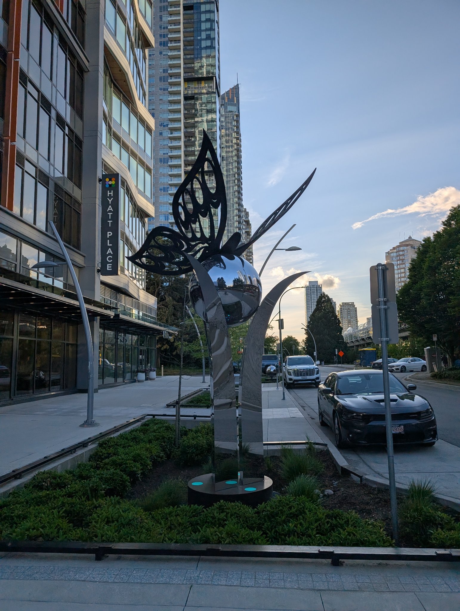 Mirror balls butterfly in Burnaby, photographed May 20, 2026