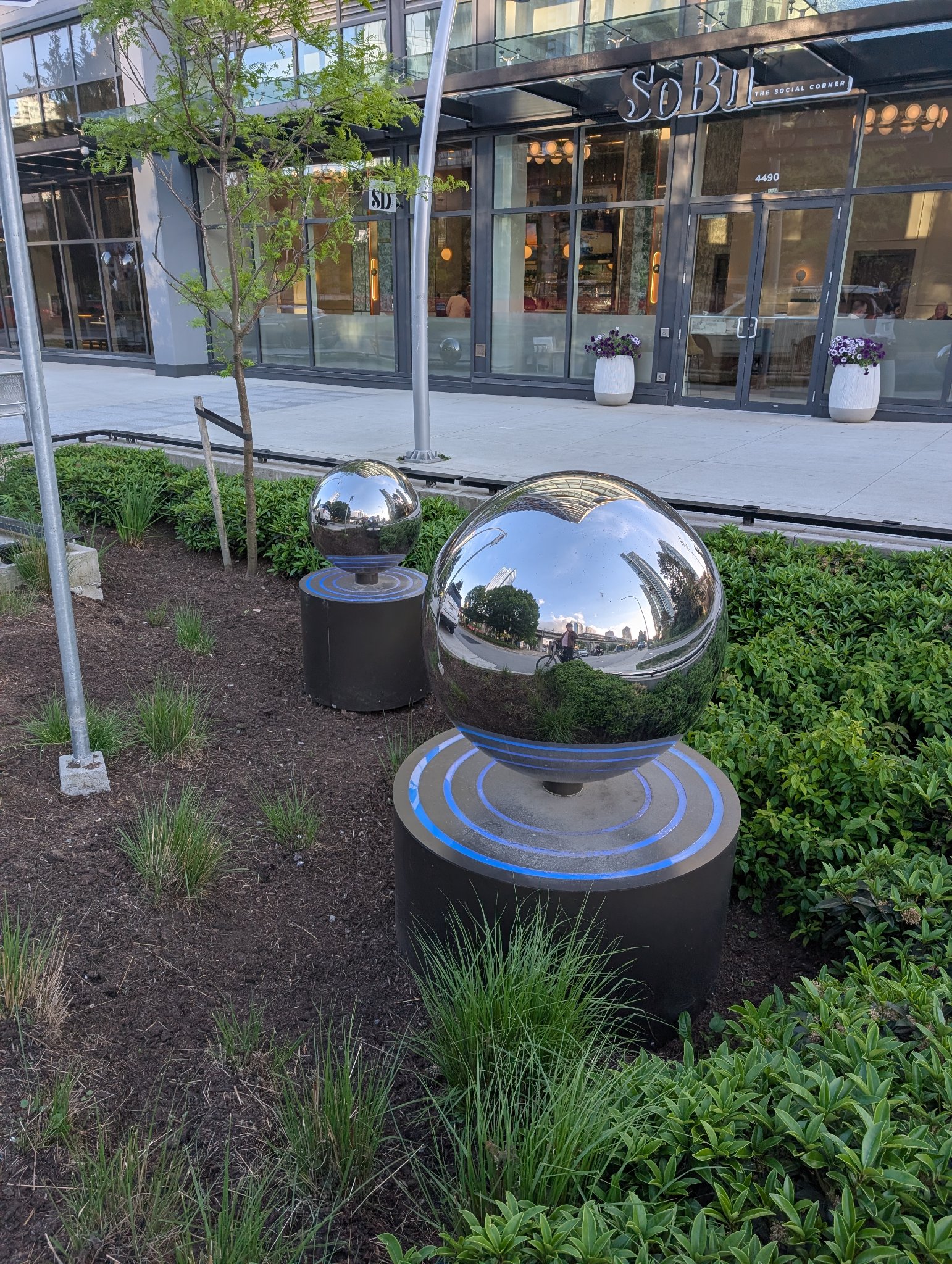 Weird balls in Burnaby, photographed May 20, 2026