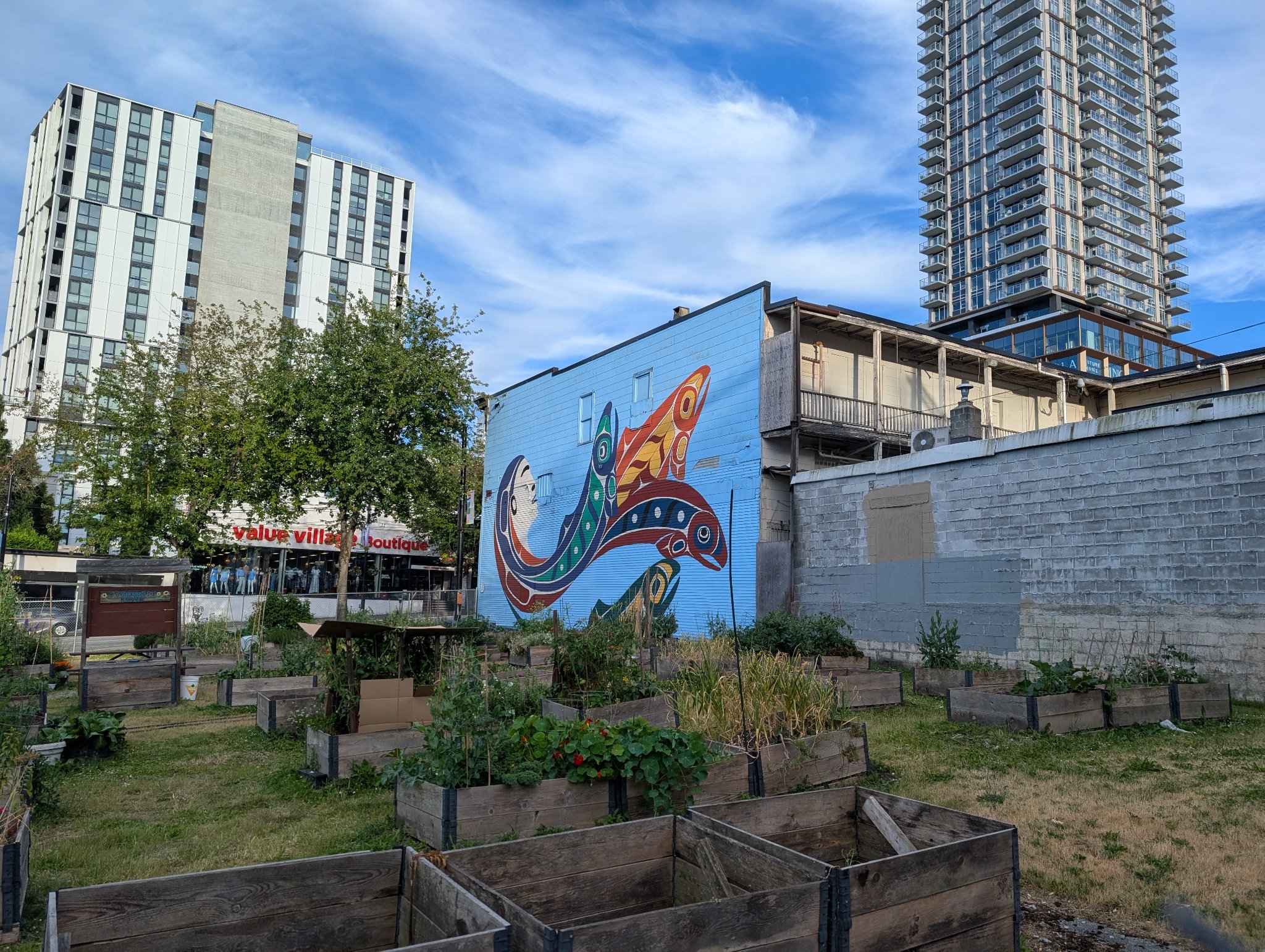 Untitled in Vancouver, photographed June 19, 2026