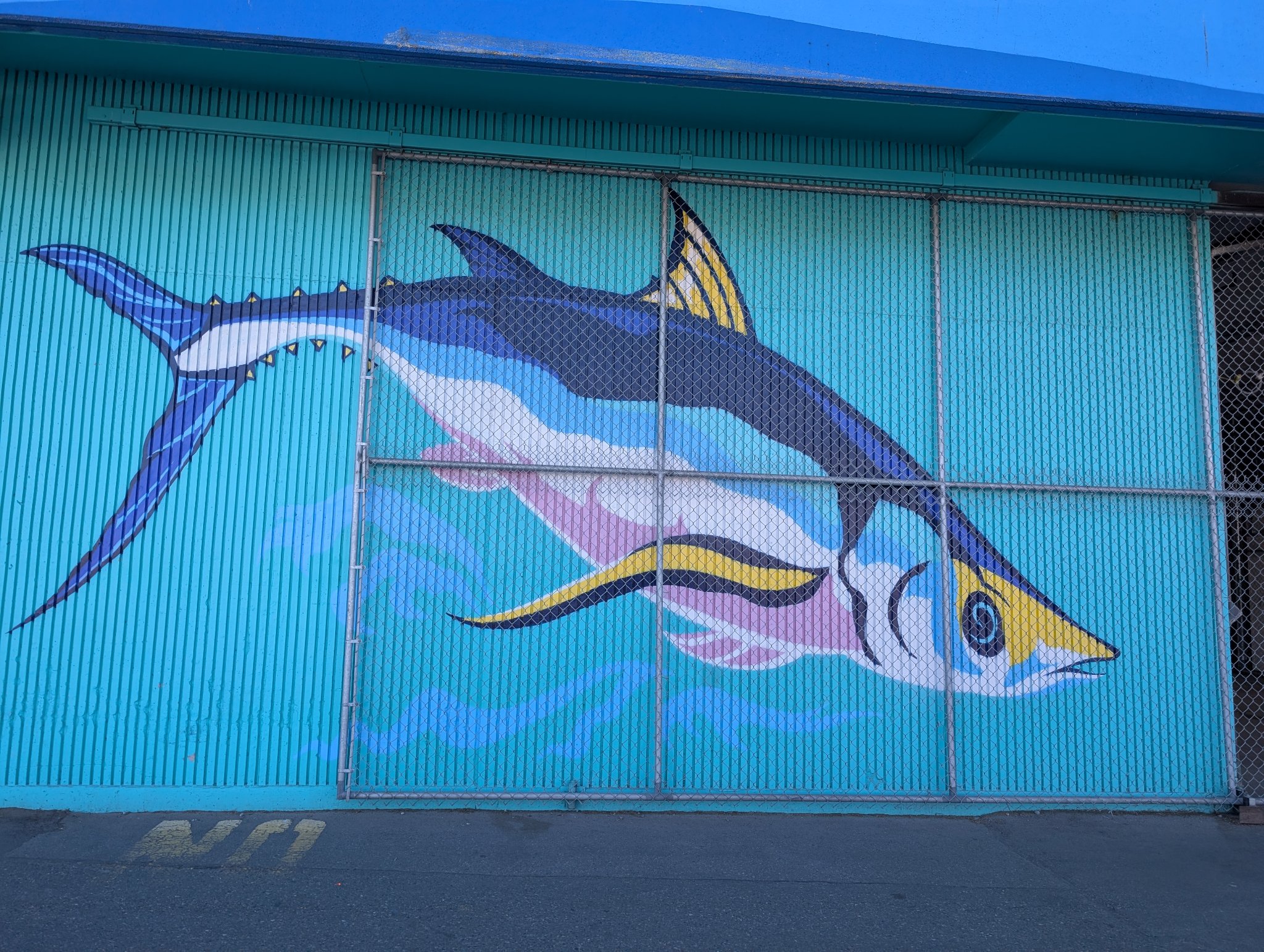 Untitled in Vancouver, photographed June 1, 2026