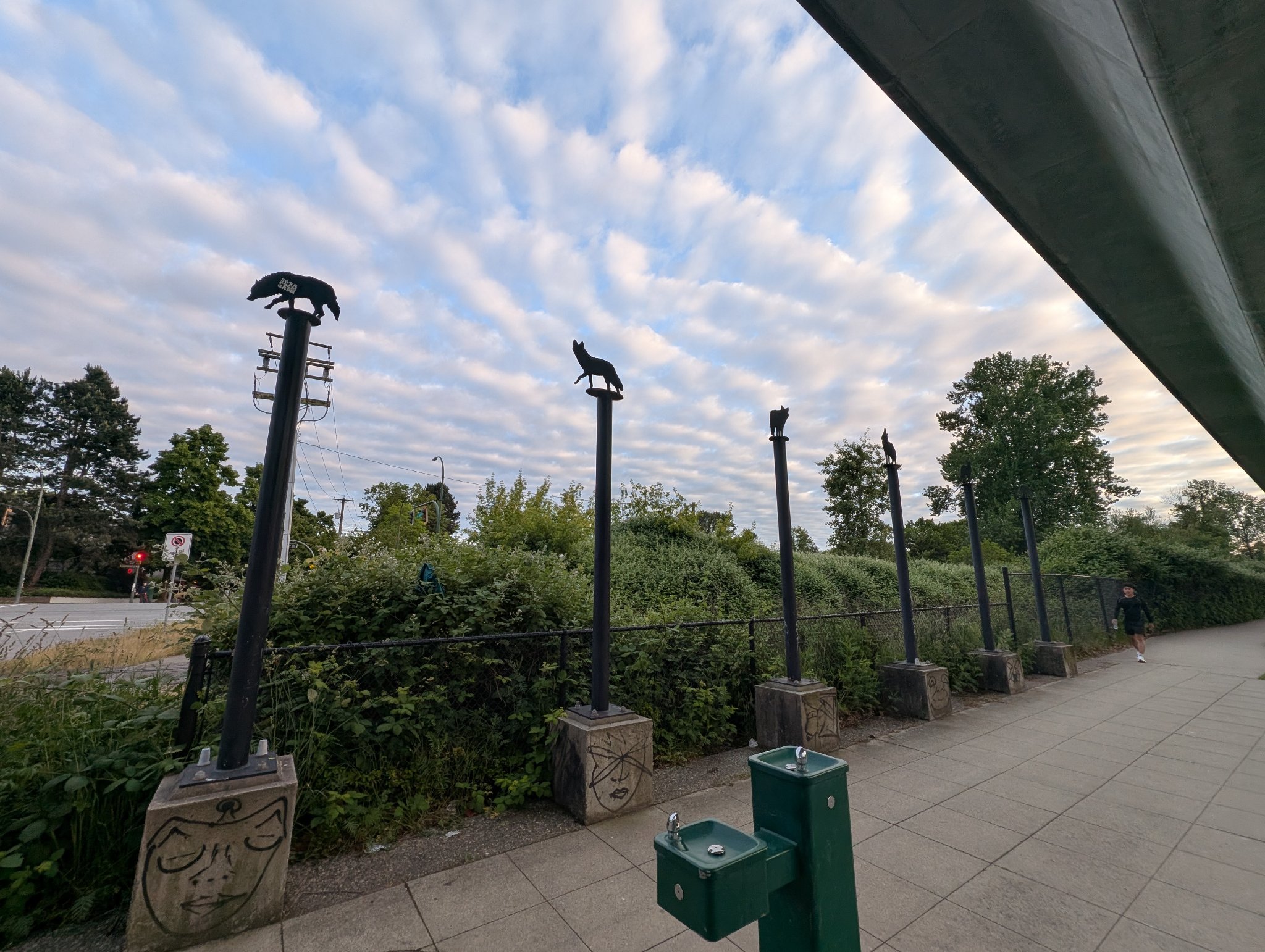 Wolf poles in Vancouver, photographed May 27, 2026