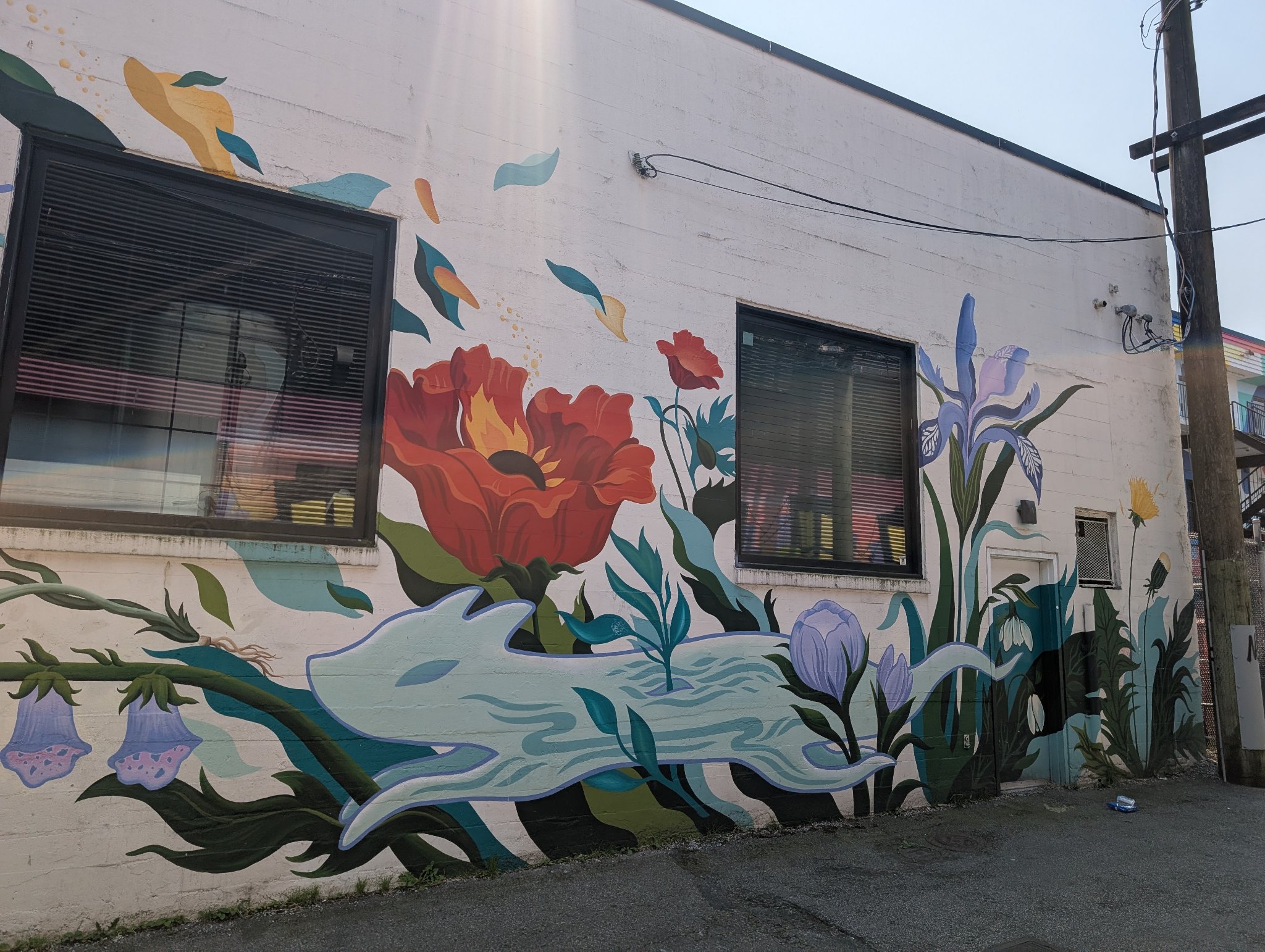 Untitled in Vancouver, photographed July 5, 2026