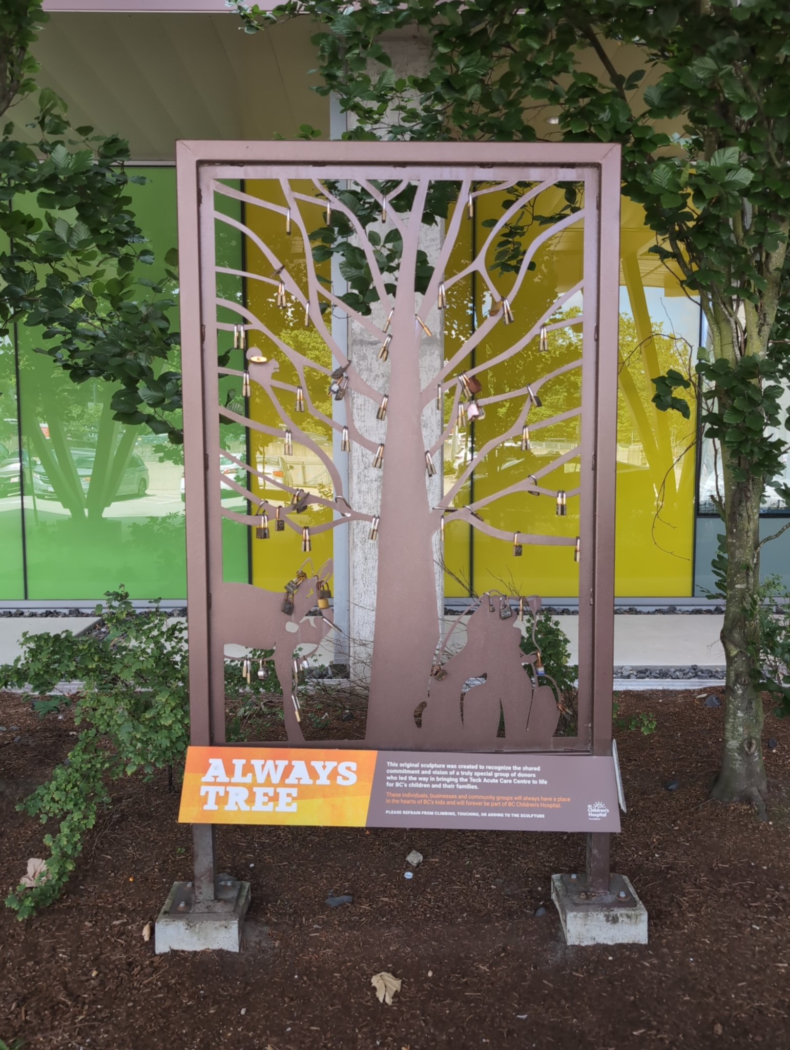 Always Tree in Vancouver, photographed July 11, 2026