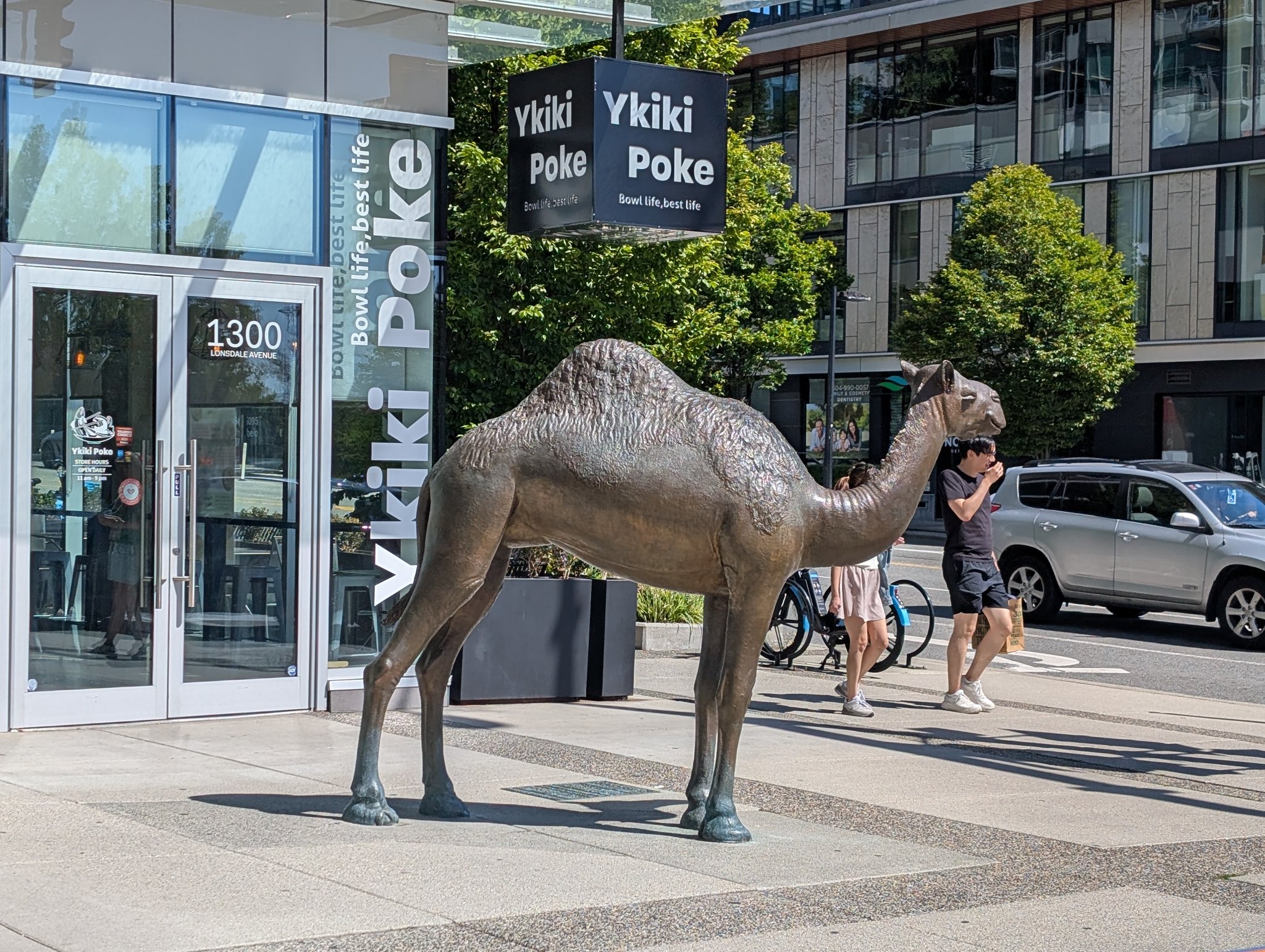 The Camel by Myfanwy MacLeod in North Vancouver, photographed June 20, 2026