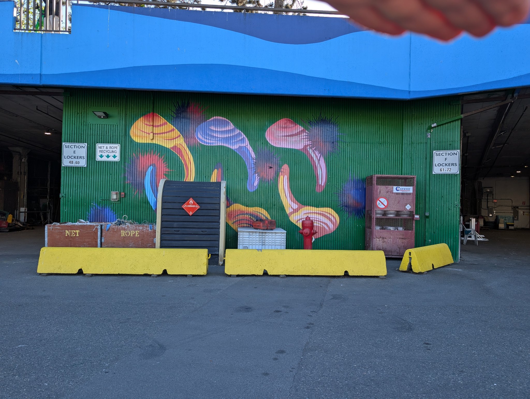 Untitled in Vancouver, photographed June 1, 2026