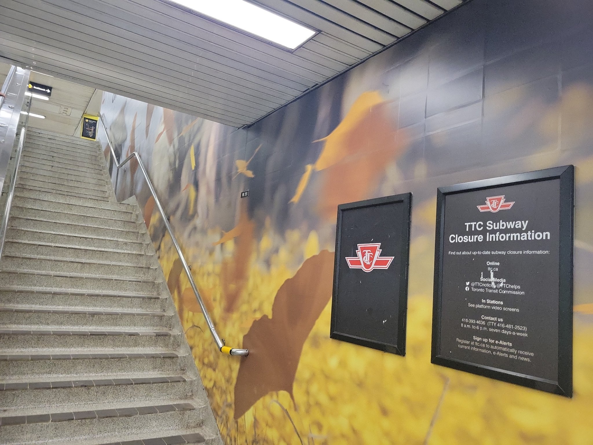 Untitled in Toronto, photographed August 25, 2026