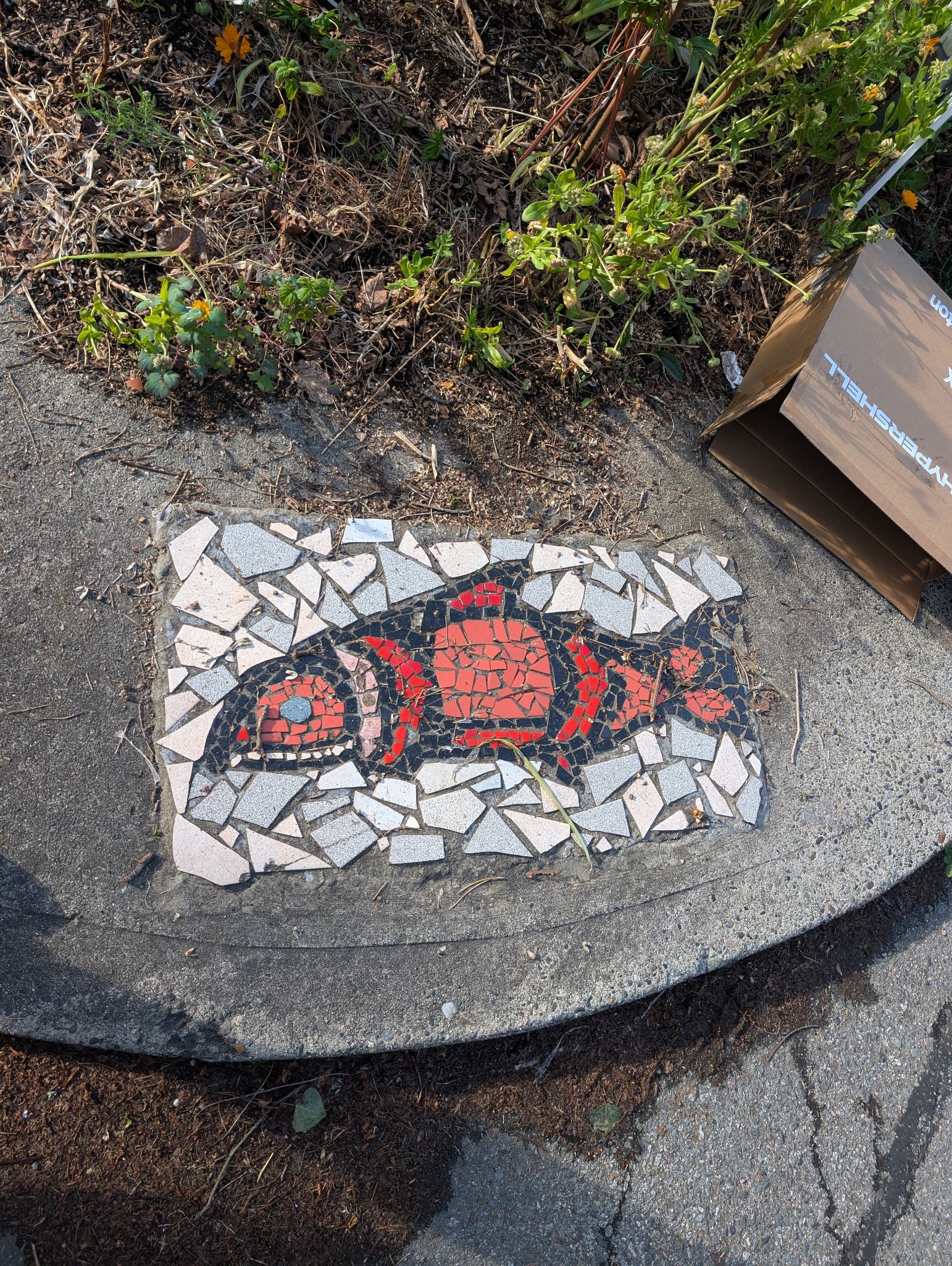 Traffic circle Mosaic in Vancouver, photographed May 27, 2026